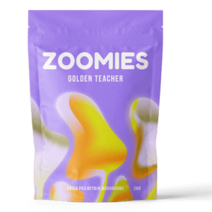 Golden Teacher | Magic Mushies Canada