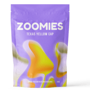 Texas Yellow Cap | Magic Mushies Canada