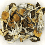 Full Moon Party | Magic Mushies Canada
