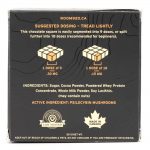 Room 920 – Mushroom Chocolate Bar - Milk Chocolate - 3 Grams | Magic Mushies Canada