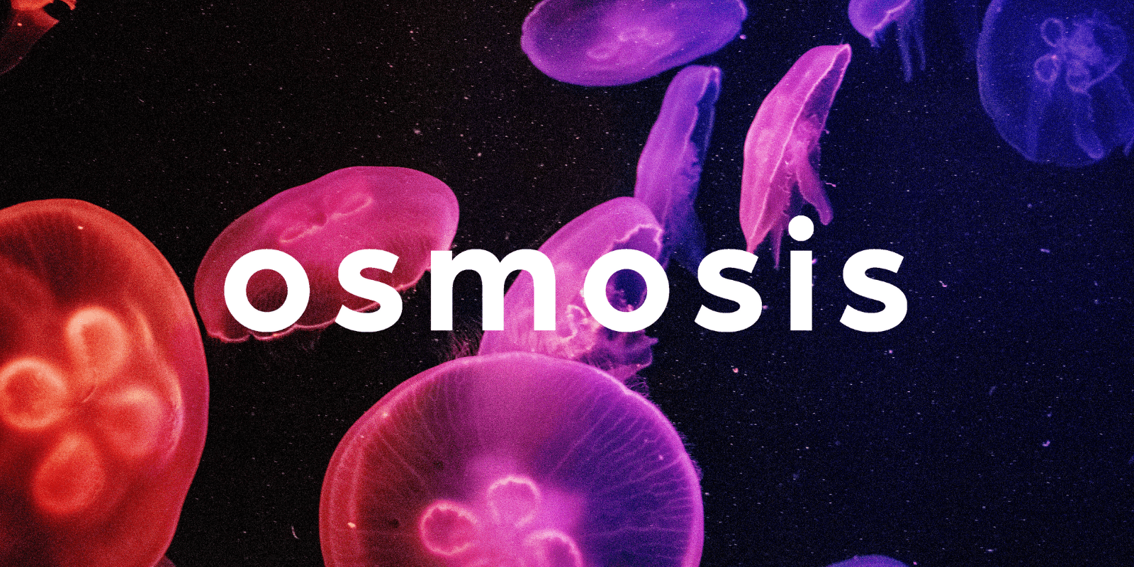Zoomies osmosis banner | Magic Mushies Canada