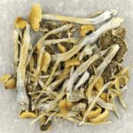 Trinity | Magic Mushies Canada