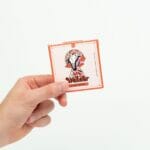 Wonder – Psilocybin Chocolate Bar – Blood Orange | Magic Mushies Canada
