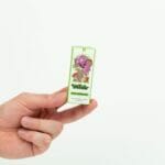 Wonder – Psilocybin Chocolate Bar – Dark Chocolate | Magic Mushies Canada