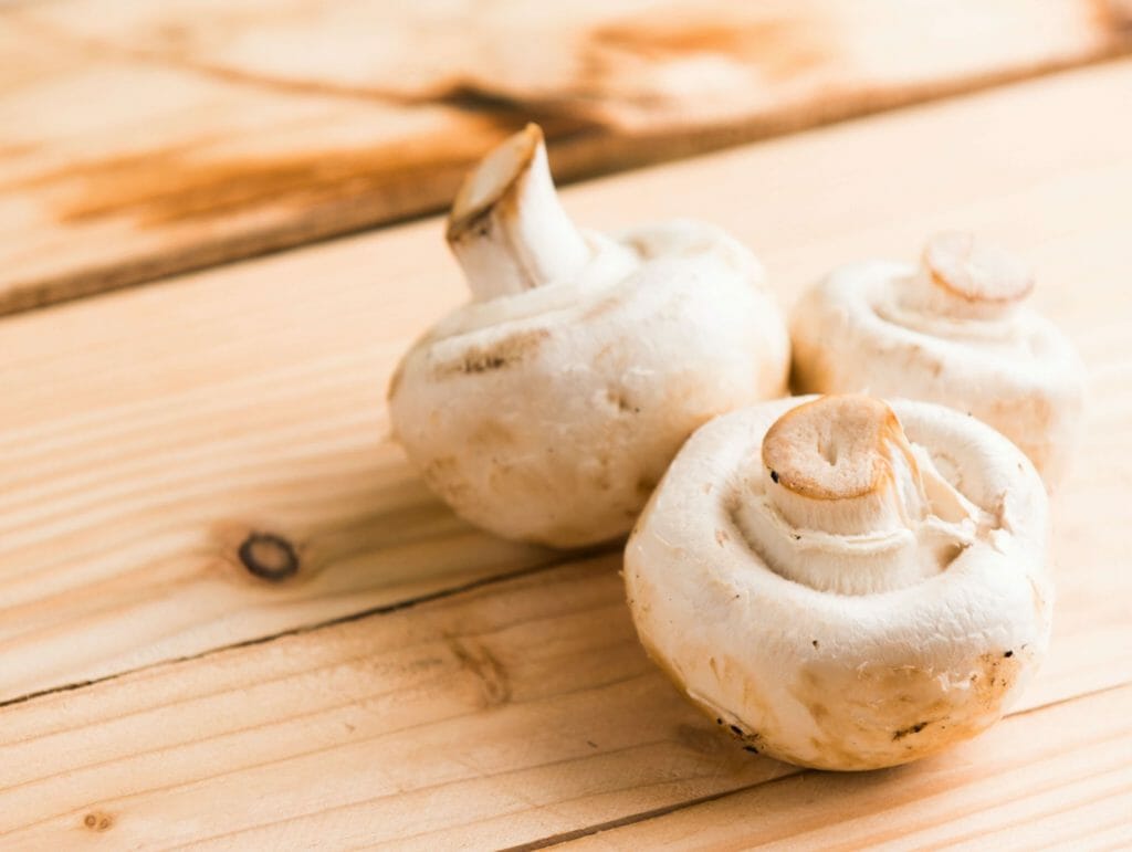 Buy Mushrooms Online and Explore the The Best Way to Obtain Psilocybin Buy Shrooms Online at Magic Mushies Canada