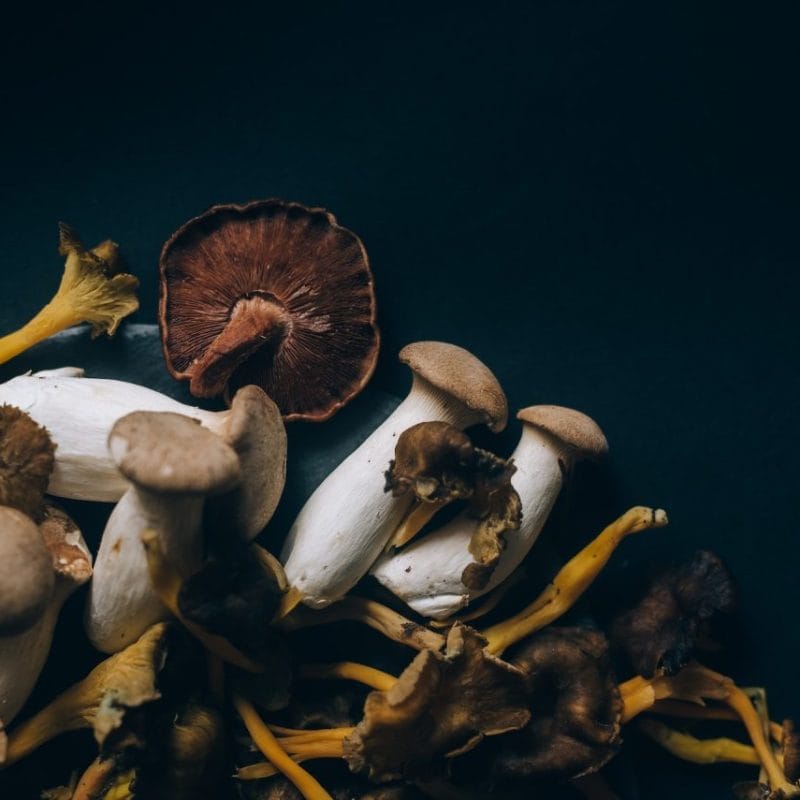 Dried Shrooms | Magic Mushies Canada