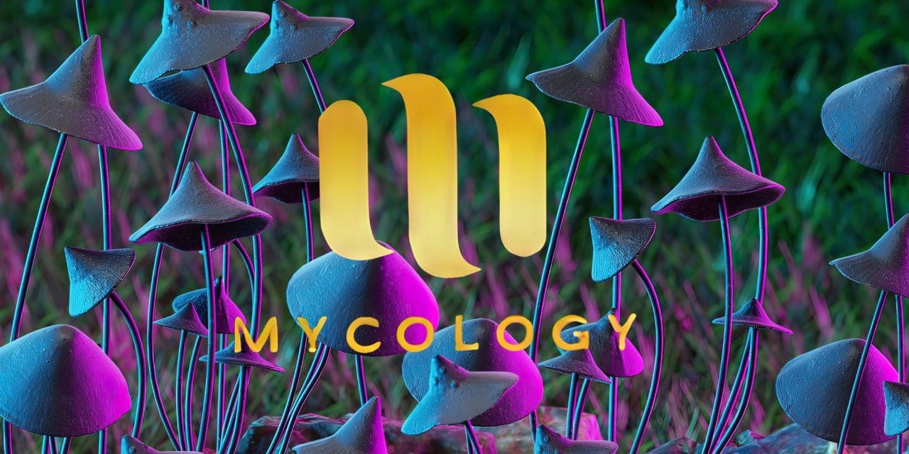 Zoomies Summer 2023 Banner - Mycology | Magic Mushies Canada