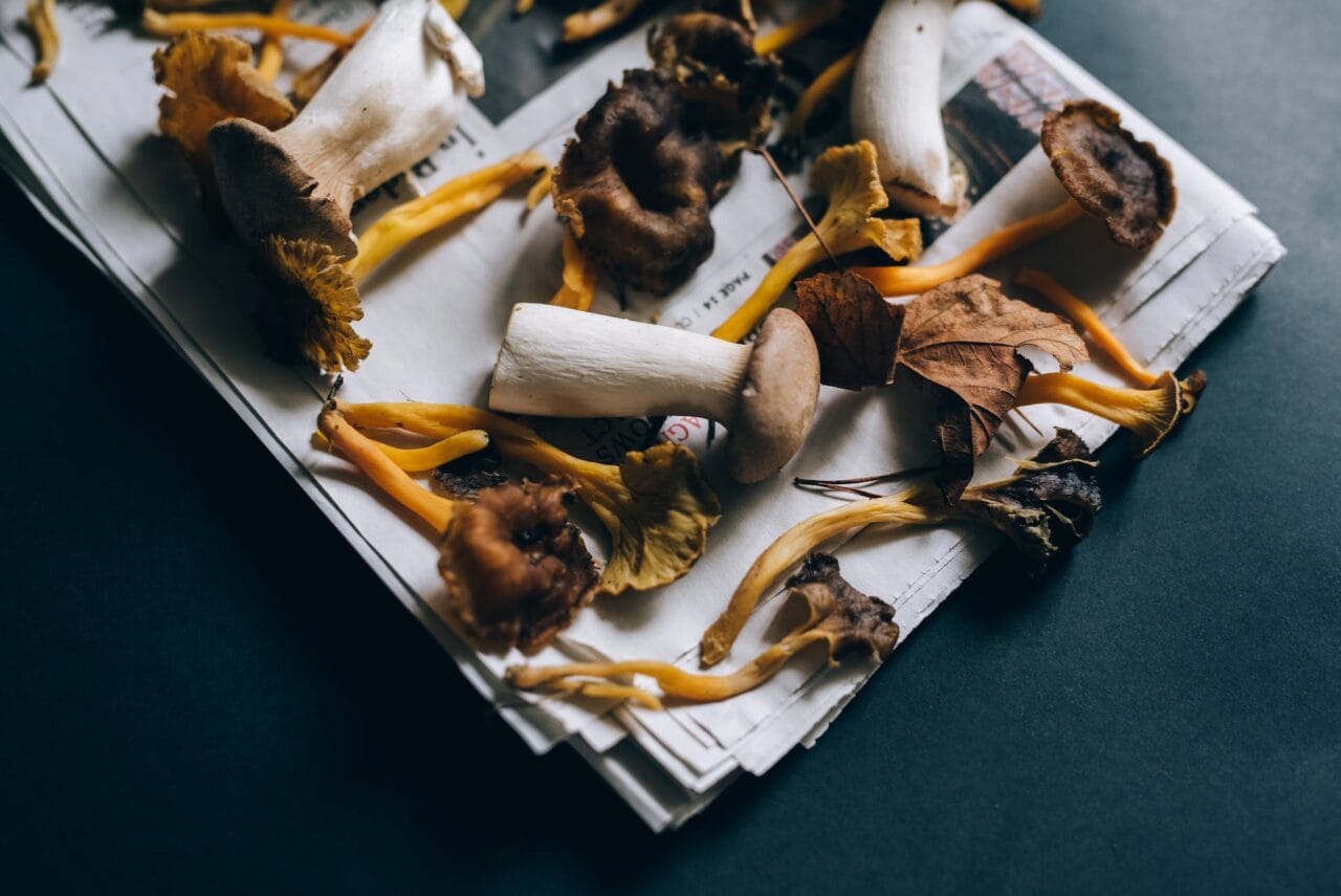 Is It a Good Idea to Combine Mushrooms and Chocolate?
