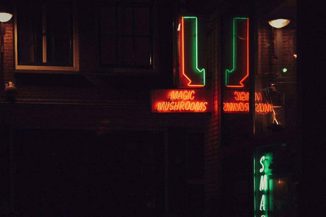 Vancouver’s Mushroom Dispensary – How is Canada Keeping Pace with the Mushroom Boom in the US?